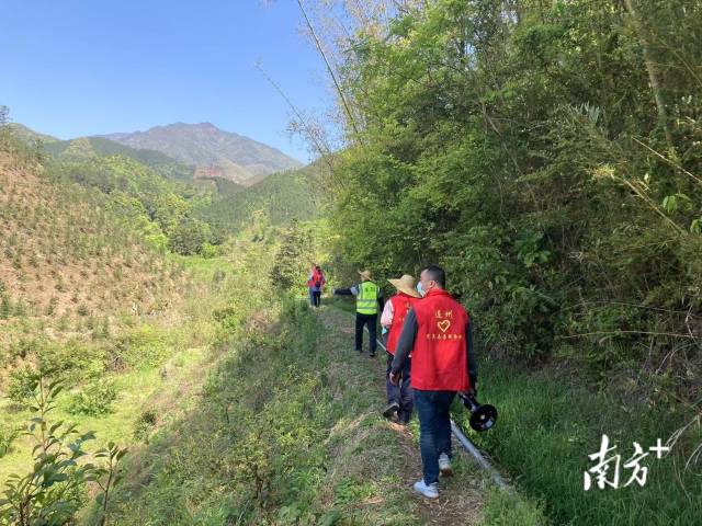 巡山。