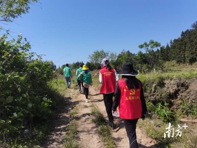 豐陽鎮(zhèn)的440余名黨群志愿者堅守先鋒崗，守護豐陽的綠水青山。