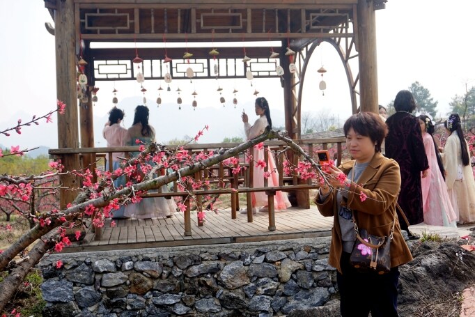 桃花節(jié)在九陂鎮(zhèn)開幕，迎來八方游客。清遠日報記者 周璐攝。